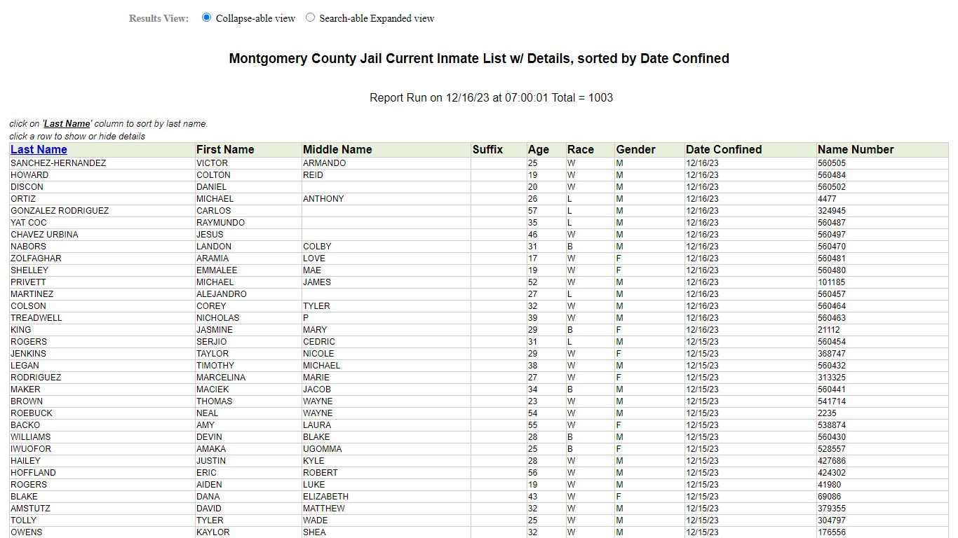 Jail Roster